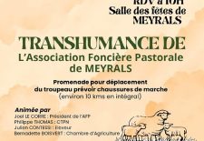 Transhumance à Meyrals