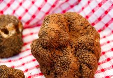 Marché de la truffe d&rsquo;été