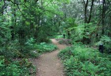 Les Jardins de Cadiot