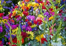 Floralies fête des fleurs