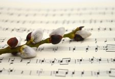 Chantemuse