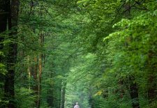 Randonnée pédestre (6/13km)
