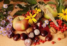 Rencontre de la châtaigne et des Saveurs