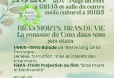 Sortie sur le thème de l’eau : Bras morts, bras de vie