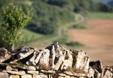 Conférence sur la pierre sèche