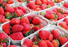 Marché nocturne des Producteurs de Pays de Besse