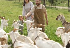 Fête de la transhumance à Florimont Gaumier