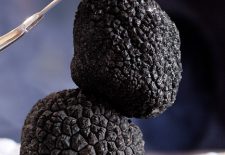 14ème Fête de la Truffe à Campagnac-Les-Quercy