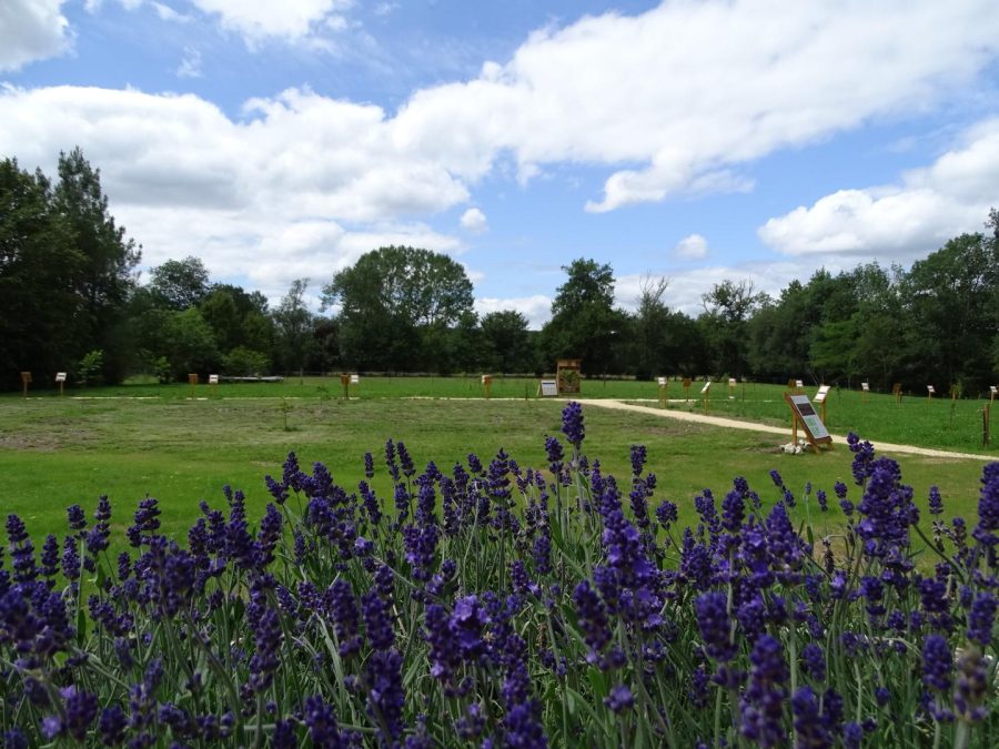 verger au  Moulin de la Veyssière à Neuvic