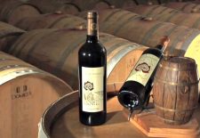 Cave du Vin de Domme