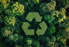 Ecolome Festival : fête de l&rsquo;économie circulaire, vide grenier, échanges, conf&rsquo;, bal trad